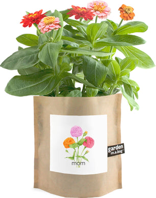 Garden in a Bag | Mom