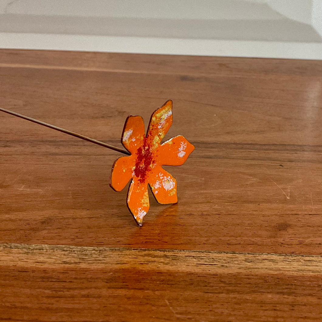 Orange Copper Medium Flower